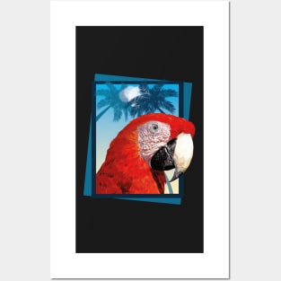 Scarlet macaw Posters and Art